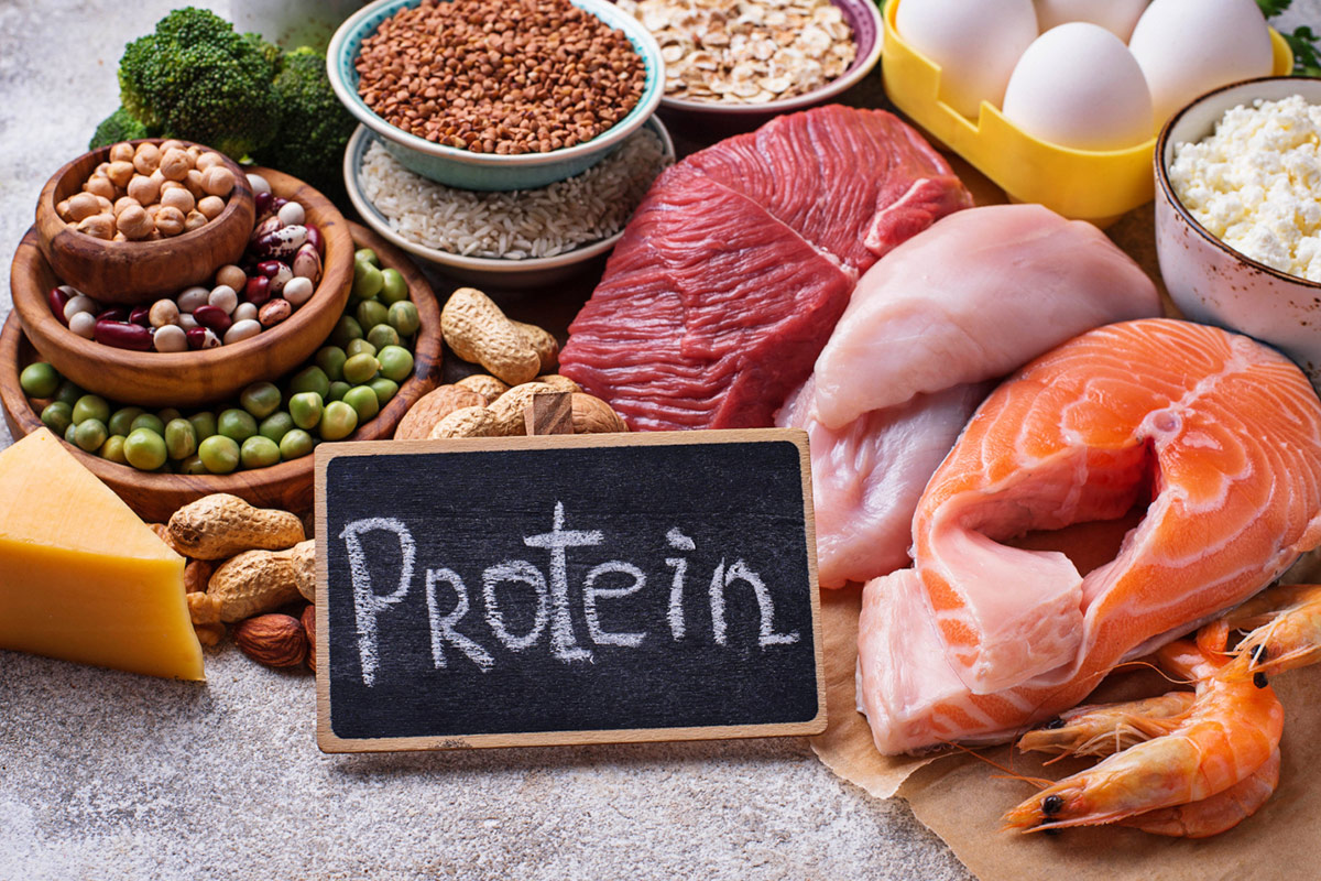 Riscos do Excesso de Proteína na Dieta